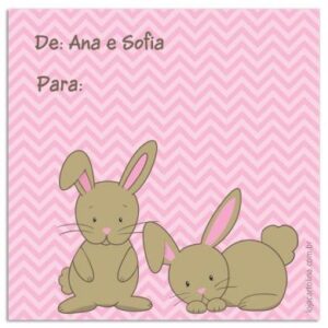 Etiqueta De/Para Coelhas Chevron Rosa (6,5 X 6,5 cm)