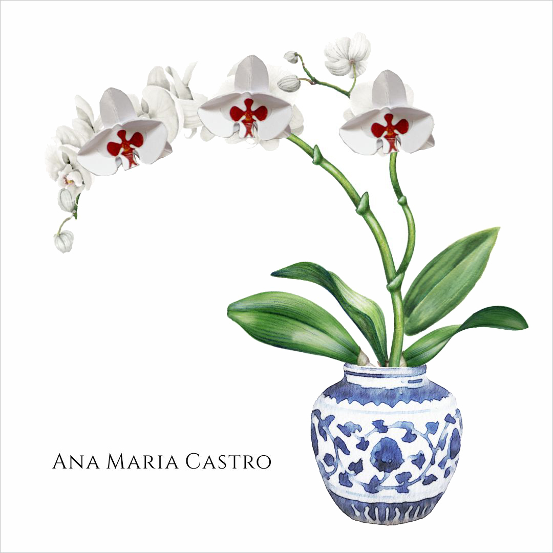 Cartão Orquídea 3D | Branca e Vermelha (9 x 9 cm) - Loja Cartolina