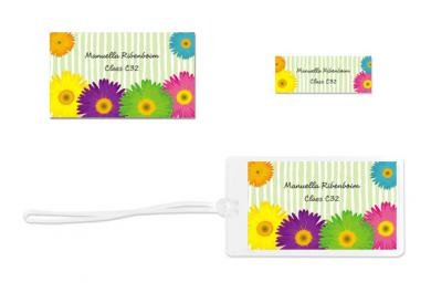 Kit Volta às Aulas Flores Grandes Color